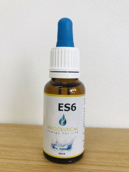 画像1: 【セール】ES 6 賞味期限：2026年8月 (1)