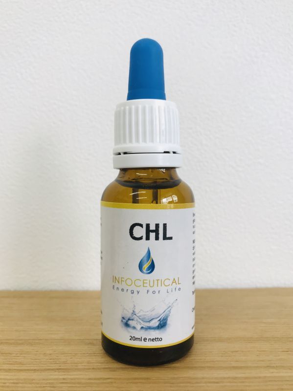 CHL チル